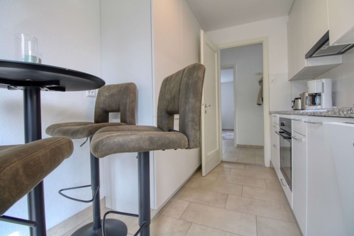 Spacious Coliving Apartment with Large Terrace in Wallisellen - 11