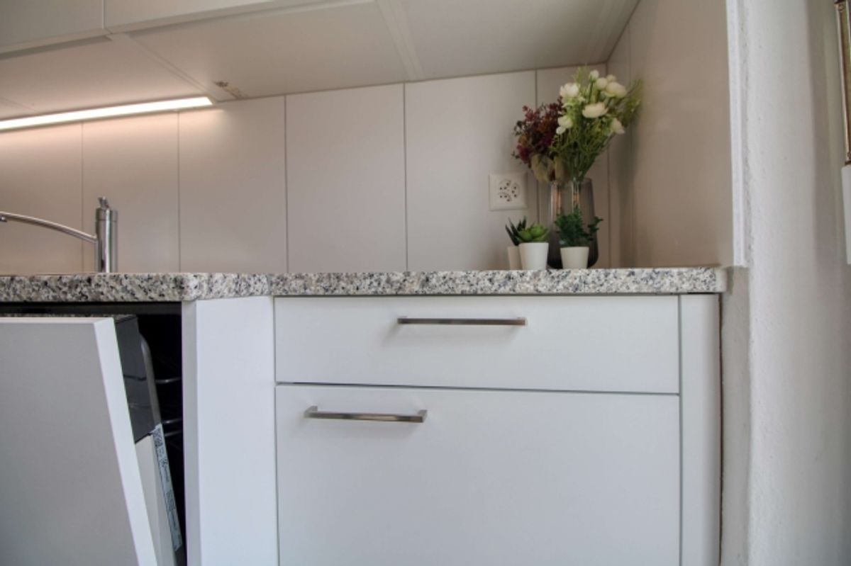 Spacious Coliving Apartment with Large Terrace in Wallisellen - 12