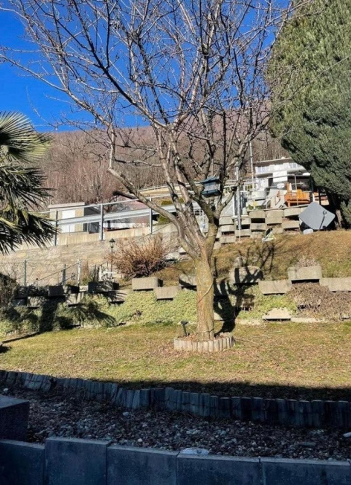 ACCOGLIENTE CON GIARDINO E VERANDA - 1