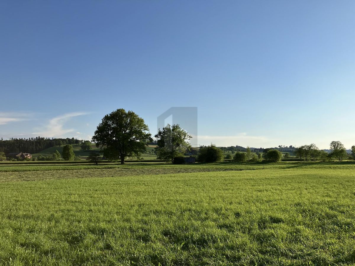 FLEXIBLER NEUBAU FÜR IDUVIDUELLE BEDÜRFNISSE - 2