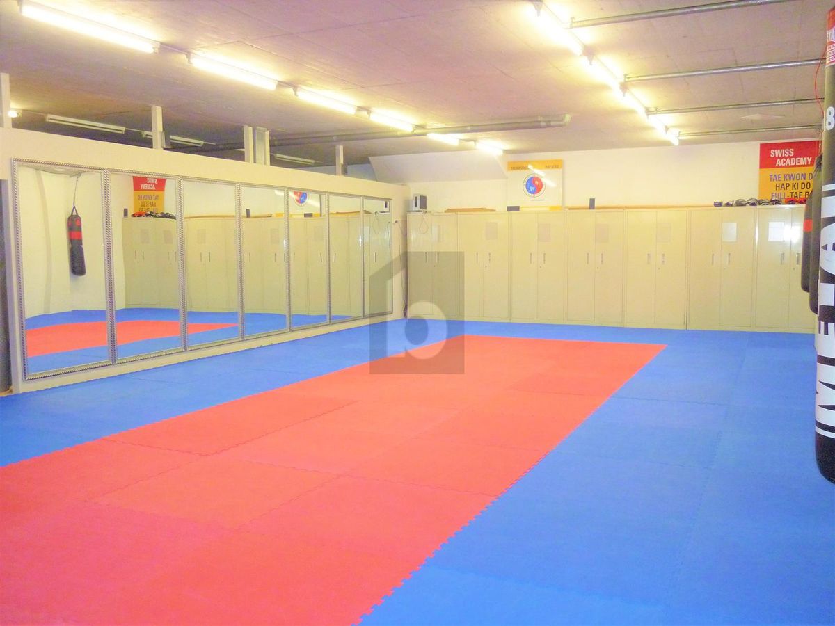 SALLE DE SPORT MULTIFONCTIONS - 1