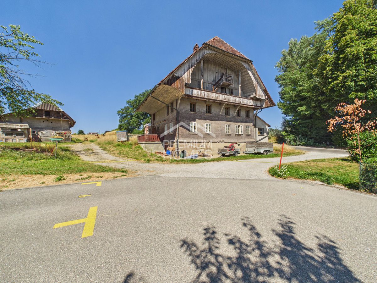 Charaktervolles Bauernhaus mit Entwicklungspotential - 0