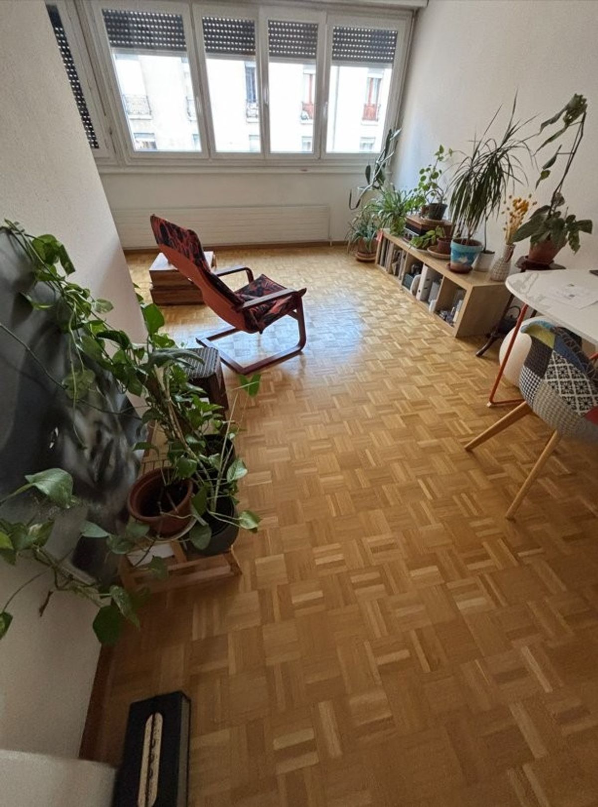 Á saisir ! Splendide appartement au coeur de Genève ! - 1