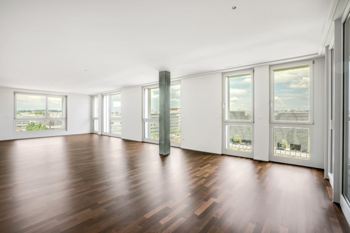 Geniale Wohnung mit sehr grosser Terrasse - 3