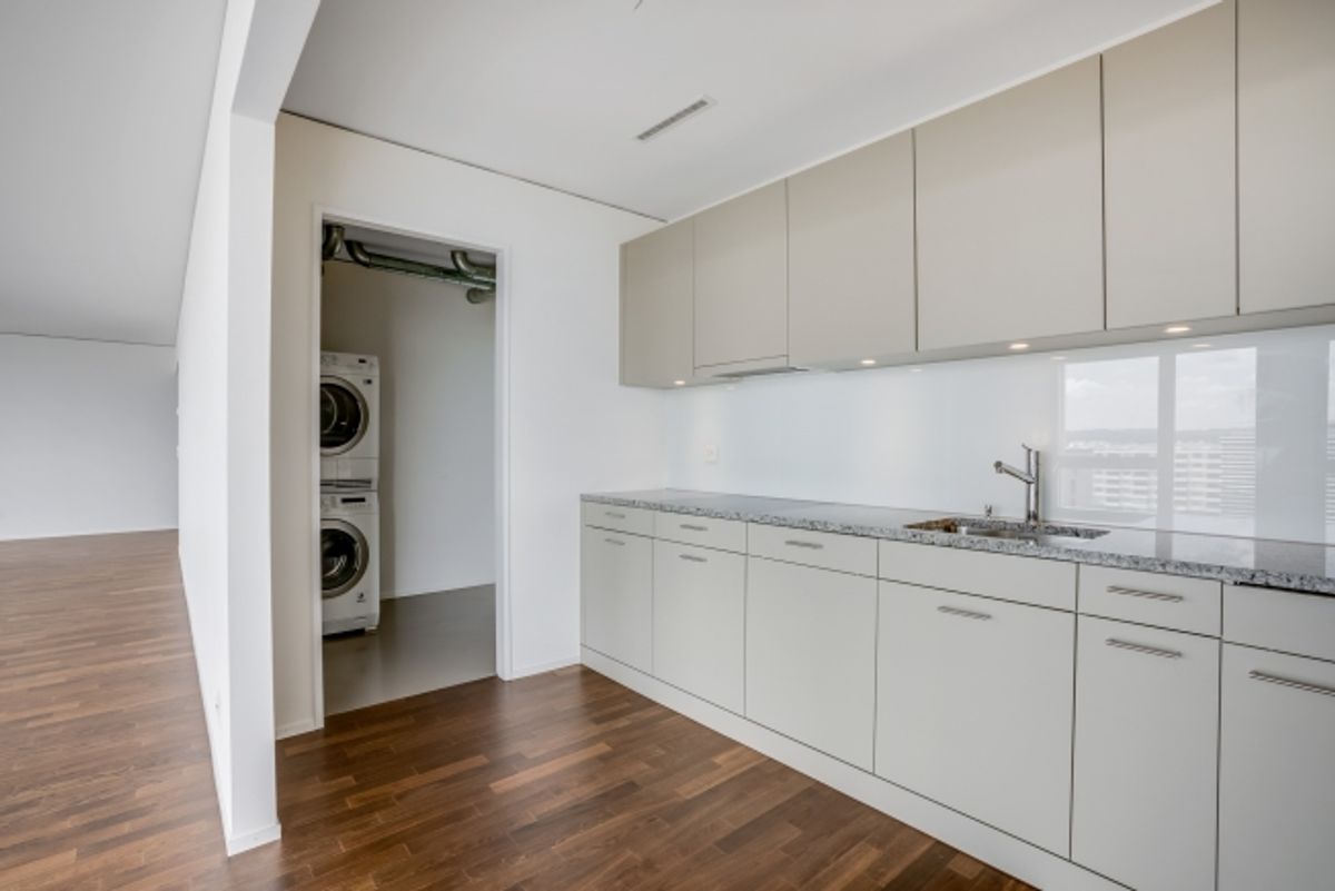 Geniale Wohnung mit sehr grosser Terrasse - 4