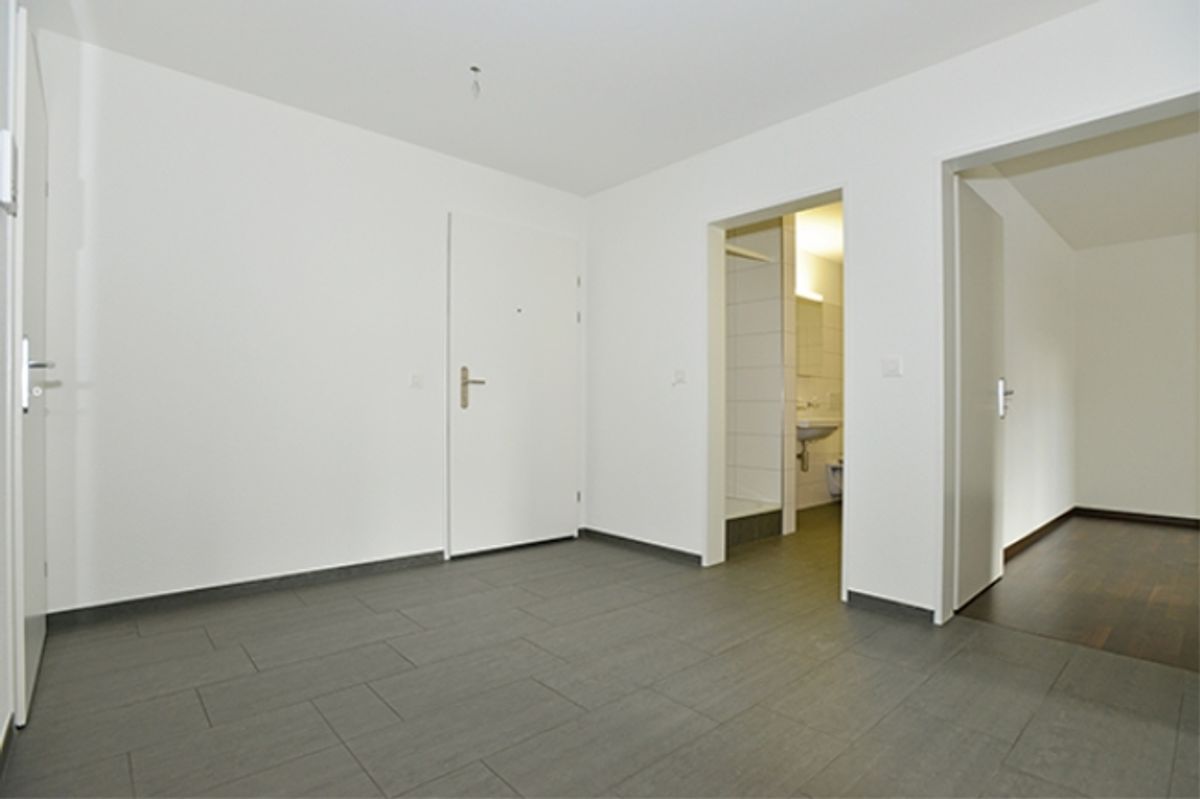 Moderne und grosszügige Wohnung und schönem Ausbaustandart - 1