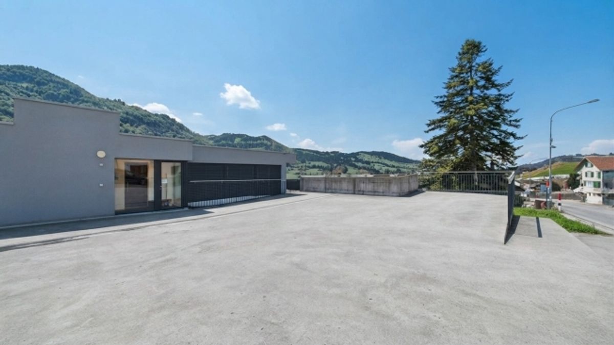 3.5-Zimmer-Attikawohnung mit 96 m² Sonnenterrasse - 9