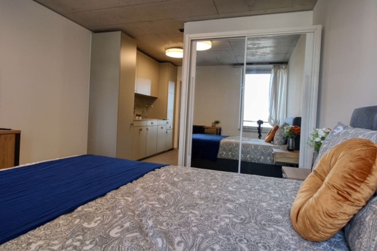 Modernes Coliving im lebhaften Schlieren - 6