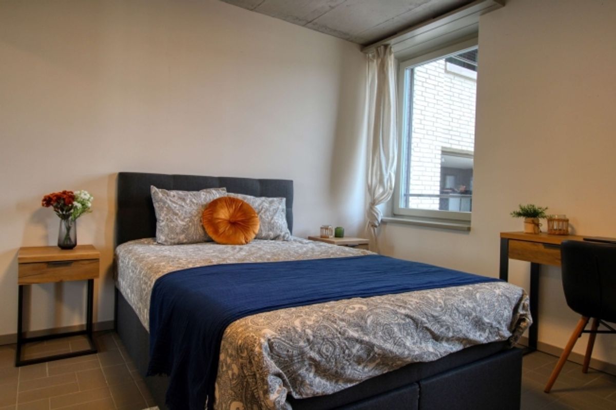 Modernes Coliving im lebhaften Schlieren - 8