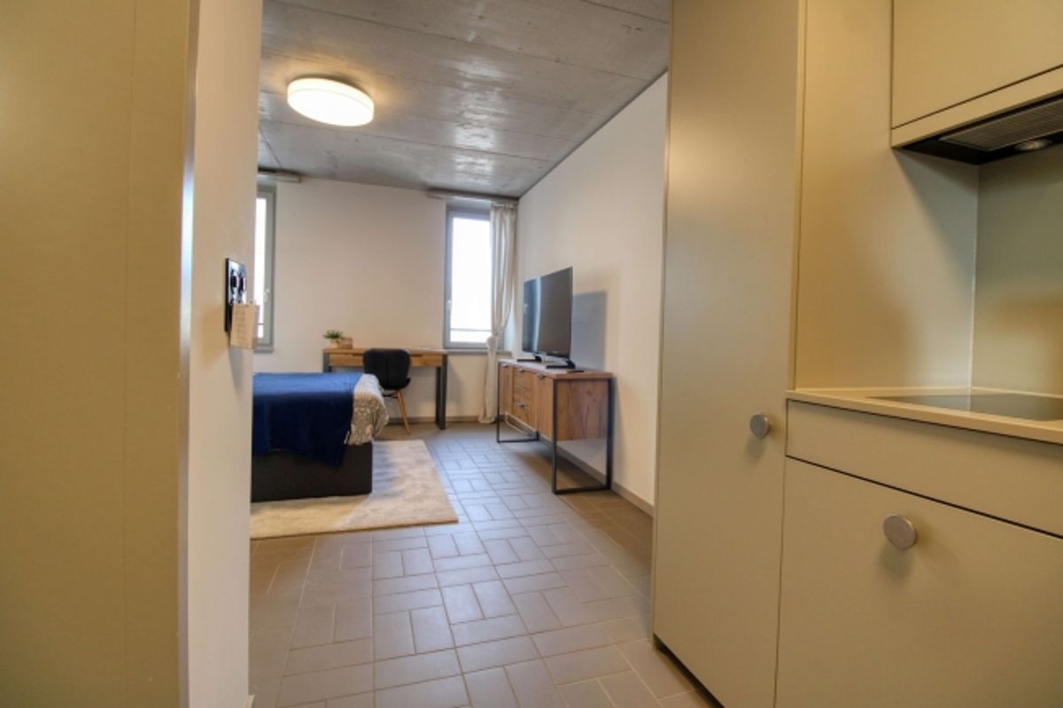 Modernes Coliving im lebhaften Schlieren - 1