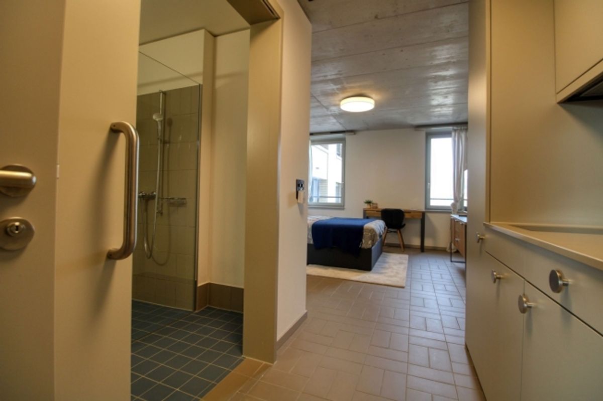 Modernes Coliving im lebhaften Schlieren - 3