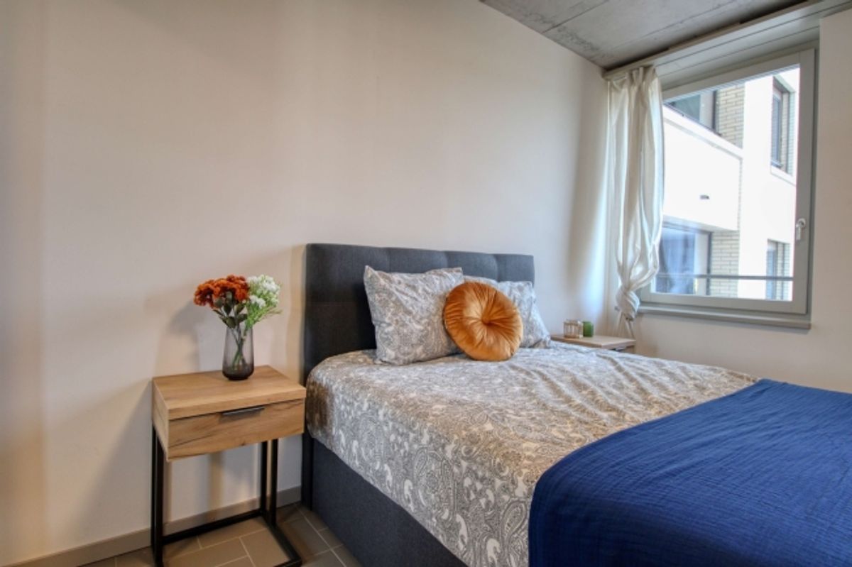 Modernes Coliving im lebhaften Schlieren - 5