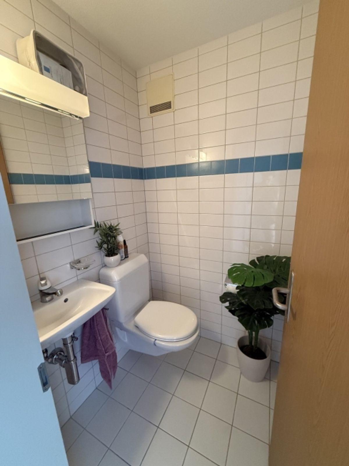 2½ ZI-WOHNUNG IN BERN - MONBIJOU, MÖBLIERT, TEMPORÄR - 7