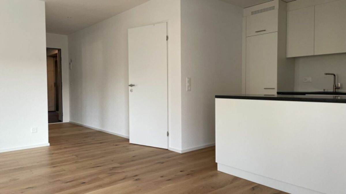 ERSTBEZUG IN MODERNEM NEUBAU - 2