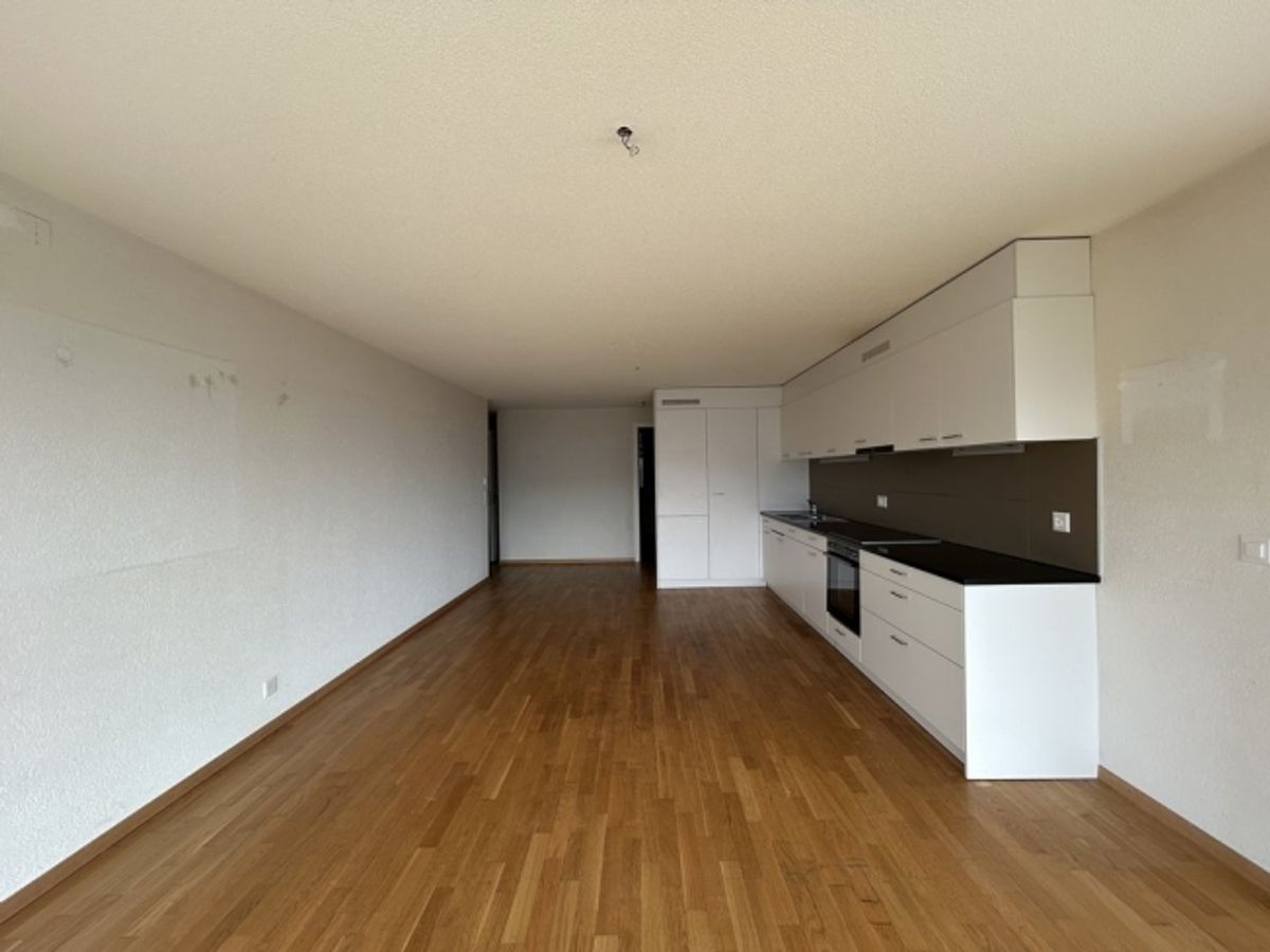 Große 4,5-Zimmer-Wohnung in der Nähe aller Annehmlichkeiten - 1