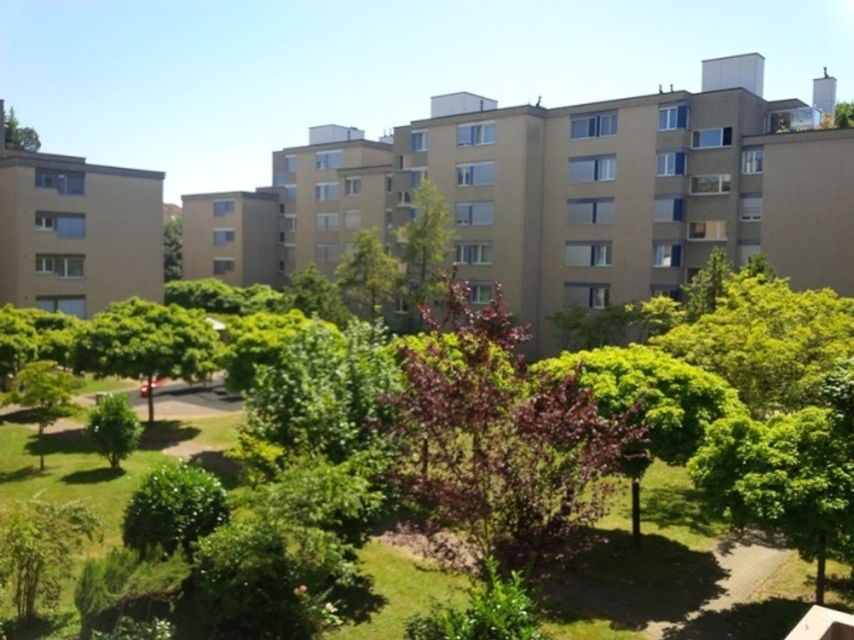 Gemütliche 2-Zimmer-Wohnung in Zürich-Altstetten (Befristung bis 30.09.2027) - 3