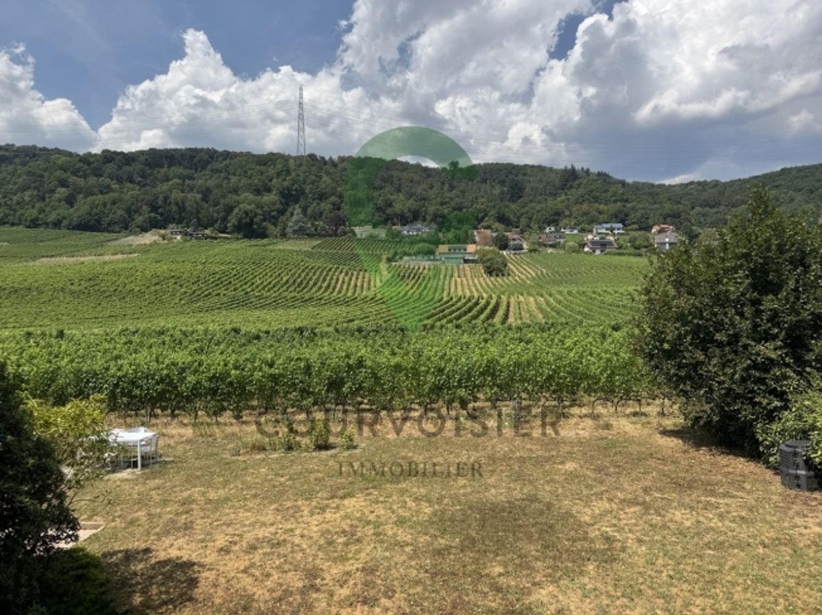 Schöne 4.5-Zimmer-Wohnung mit Seeblick und Alpenblick - 12