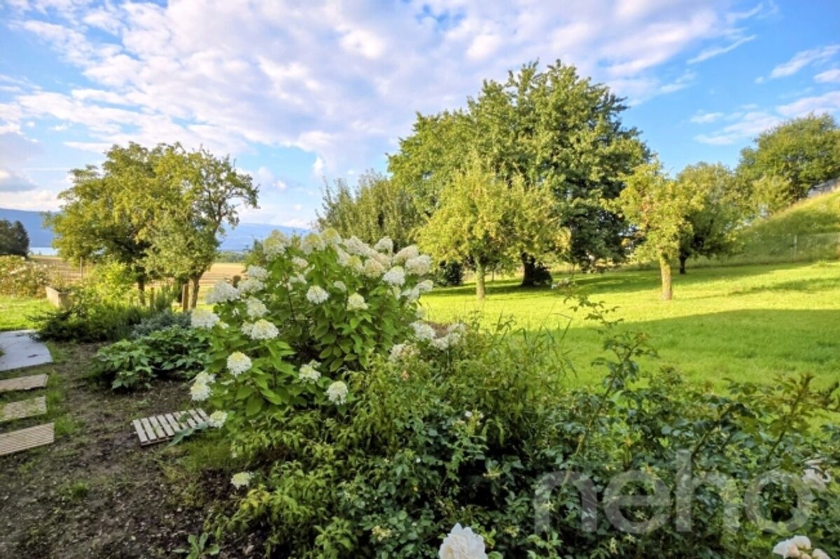 Brandneue Villa mit Seeblick - 1