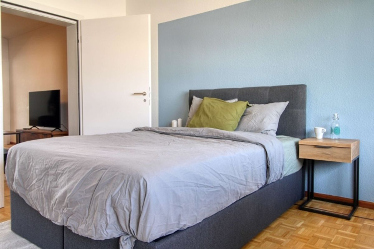 Coliving Spacieux et Moderne à Grand-Saconnex, Genève - 7