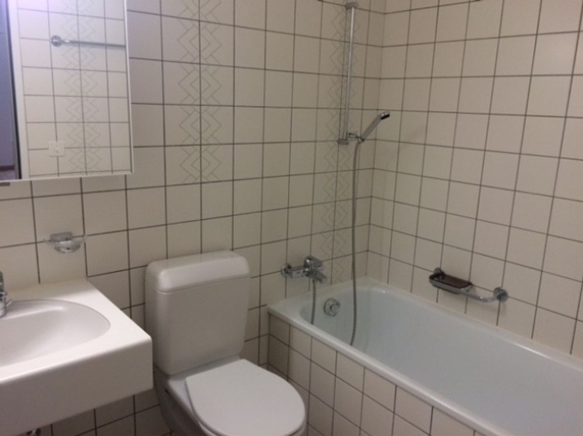 Gemütliche 3-Zimmer-Wohnung in Zürich-Altstetten (Befristung bis 30.09.2027) - 3