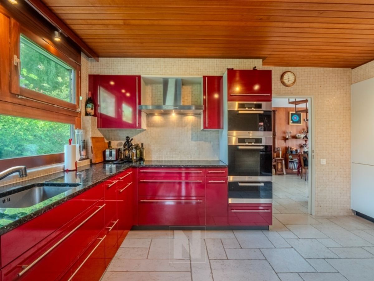 Maison individuelle avec vue panoramique sur le Lac à Denens - 8