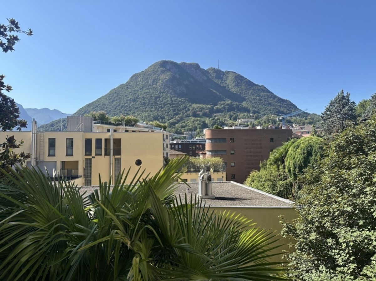 LUGANO ZENTRUM
Elegante 10,5-Zimmer-Wohnung mit Garten - 11
