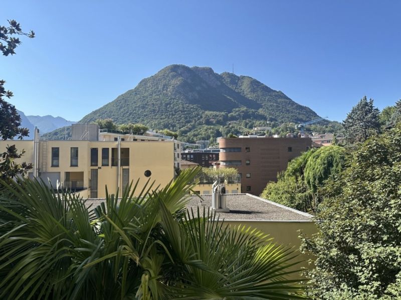 LUGANO ZENTRUM
Elegante 10,5-Zimmer-Wohnung mit Garten - 12