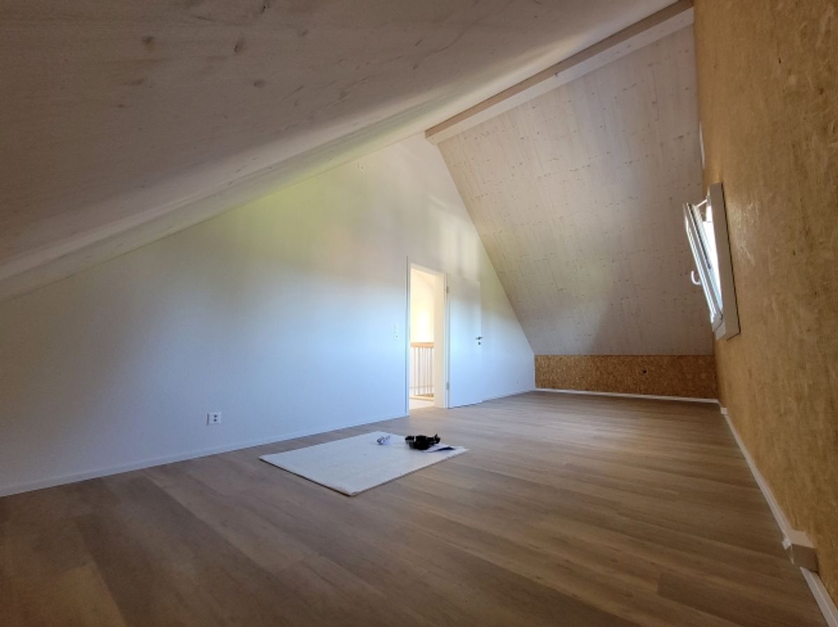 Hohe Decken im Wohnzimmer, modernes Dachgeschoss in 2024 renoviert und stilvoller Ausbau - 3