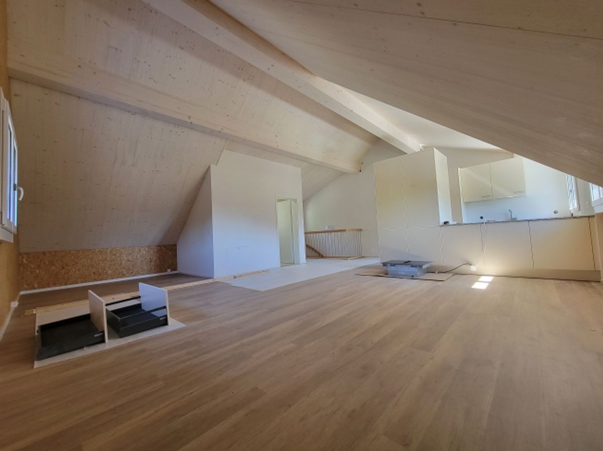 Hohe Decken im Wohnzimmer, modernes Dachgeschoss in 2024 renoviert und stilvoller Ausbau - 7
