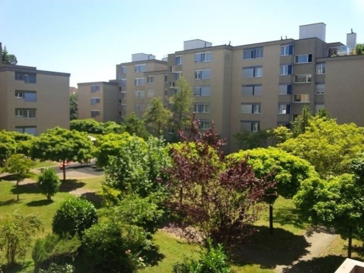 Gemütliche 4-Zimmer-Wohnung in Zürich-Altstetten (Befristung bis 30.09.2027) - 11