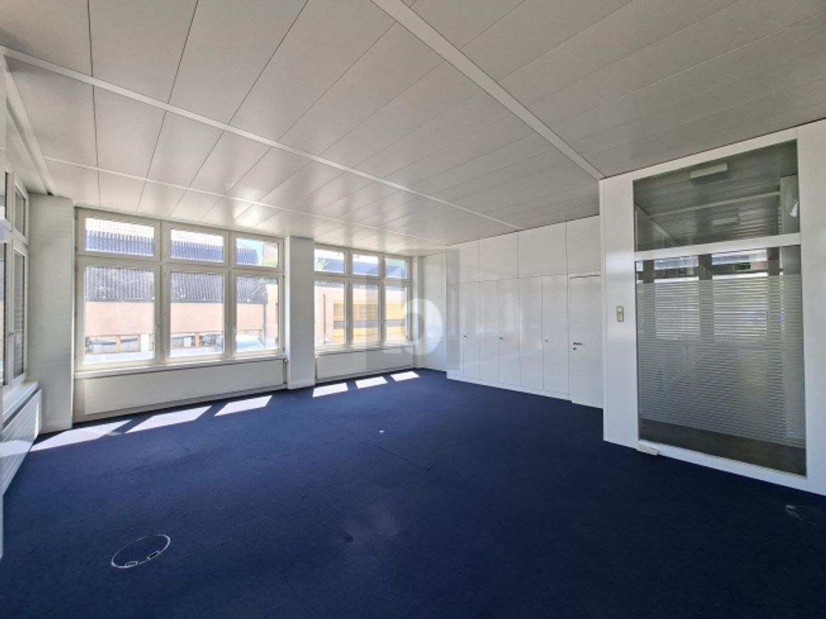 REPRÄSENTATIVE BÜROFLÄCHE - KLIMATISIERT - 1