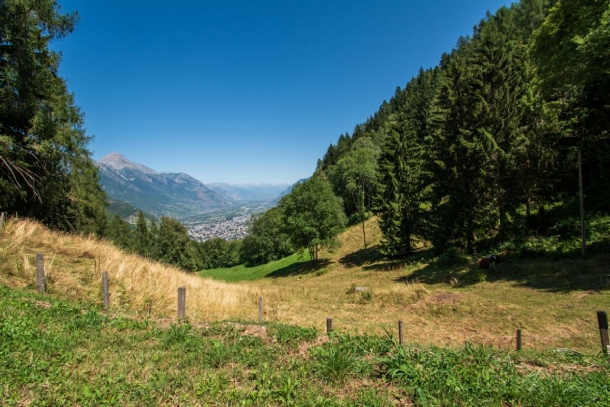 Wunderschönes Chalet im Herzen der Natur - 2