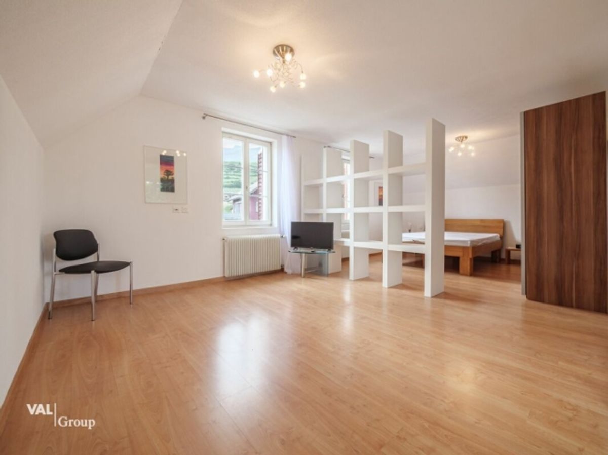 Charmante und zentral gelegene Wohnung in Salgesch - 1