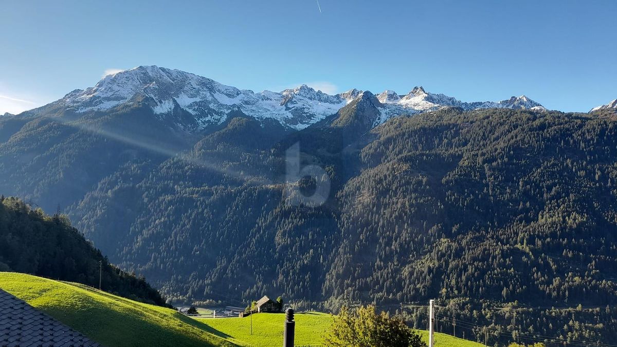 SPAZIOSA E SOLEGGIATA IN POSIZIONE TRANQUILLA - 1
