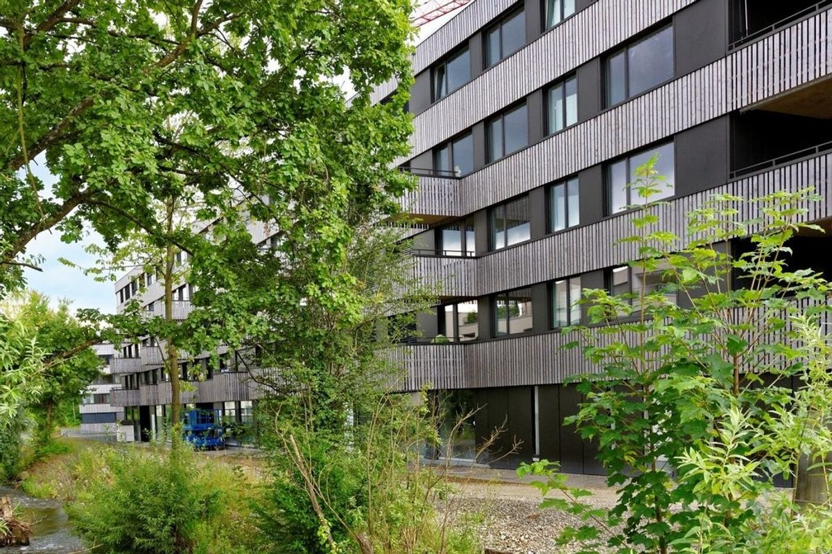 Modernes Wohnen mit grossem Balkon - 8