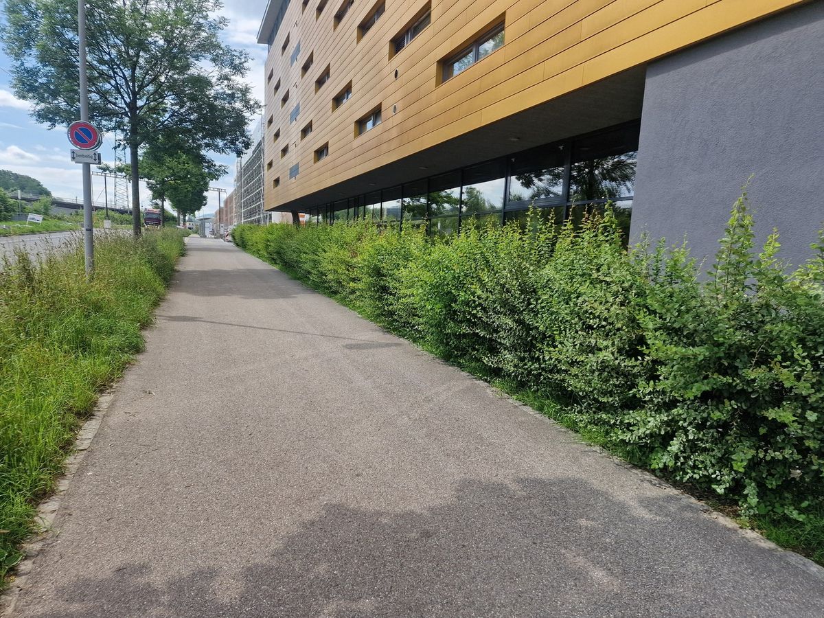 Neuer Standort für Ihre zukünftige Geschäftstätigkeit! - 6