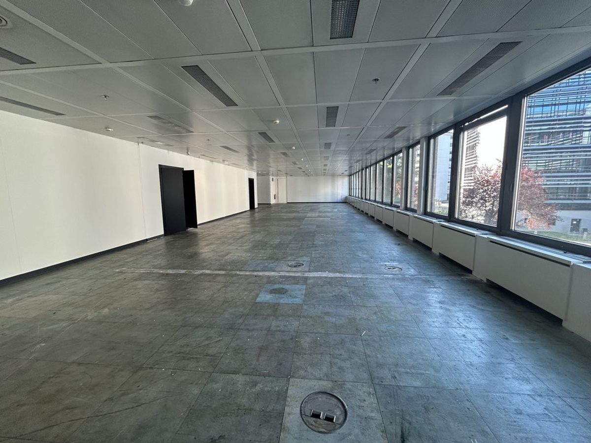 Bureau 277 m 2 - Avenue des Morgines 12, Petit-Lancy - 4