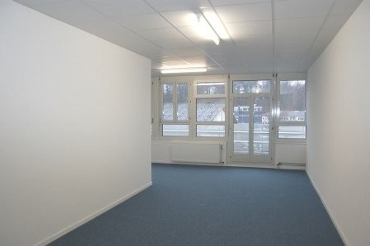 Büro-/Gewerberaum inmitten des Dreispitz-Areals - 2