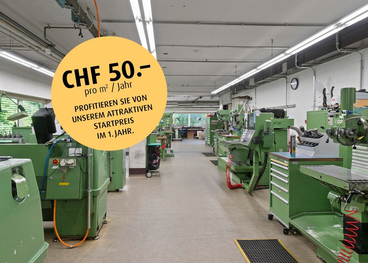 Alle Möglichkeiten für Sie - Lager- und Produktionsfläche im UG - 0
