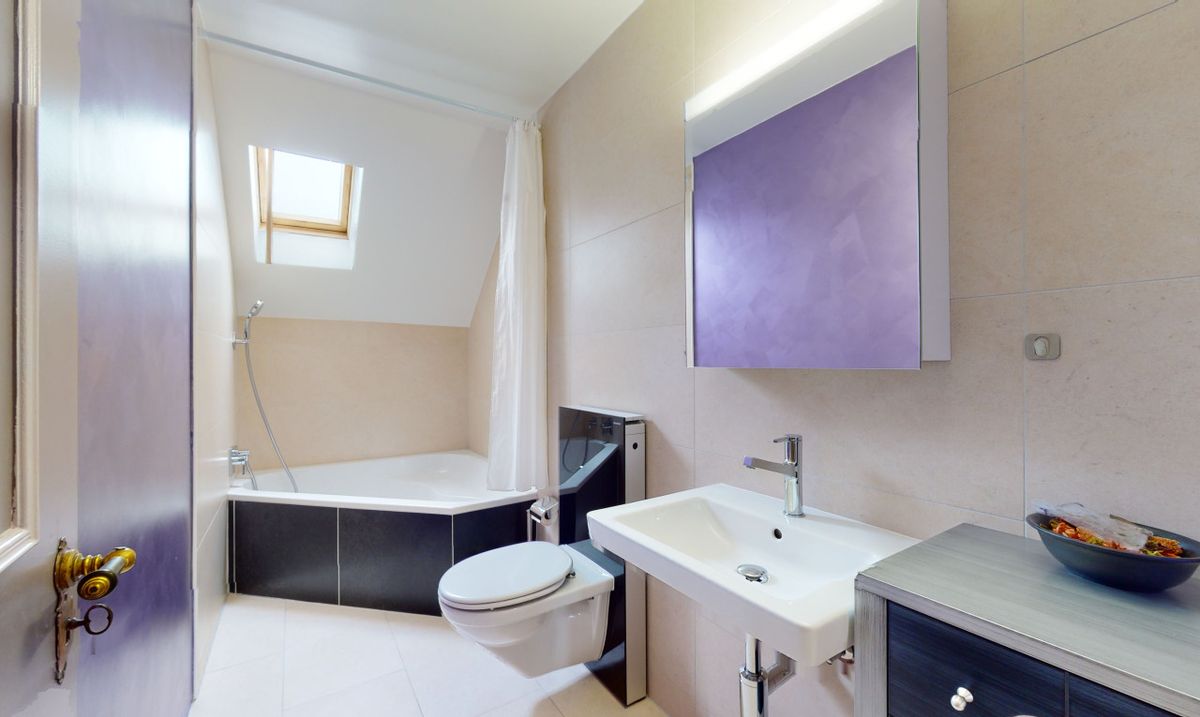 Exceptional Opportunity - Fully Renovated Penthouse in Downtown - 6