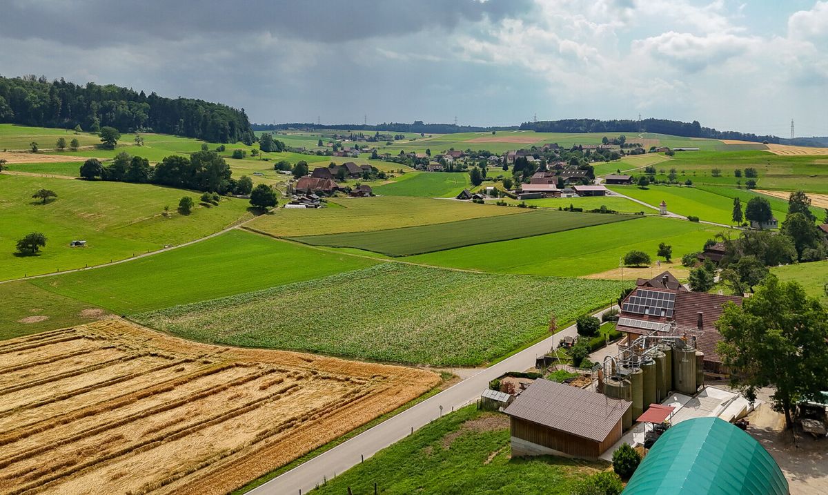 Einfamilienhaus mit Einliegerwohnung in Grasswil - 2