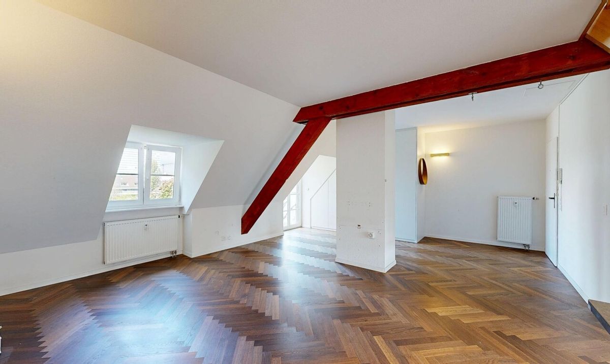 Duplex in Basel - 0