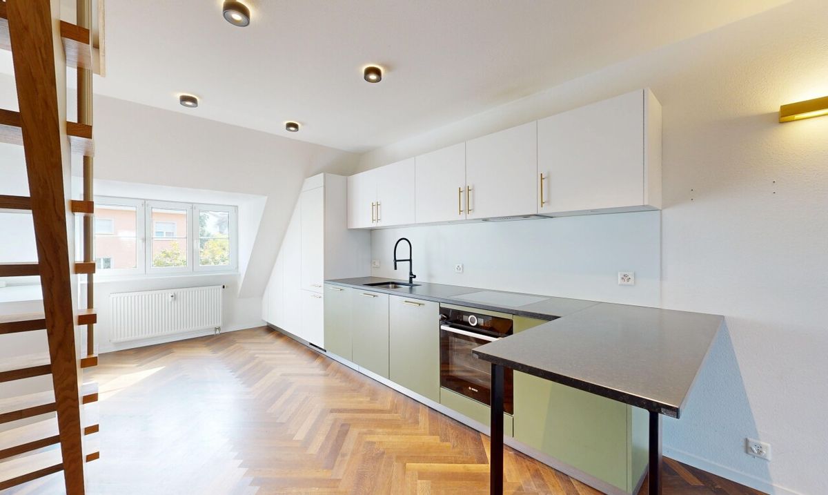 Duplex in Basel - 1
