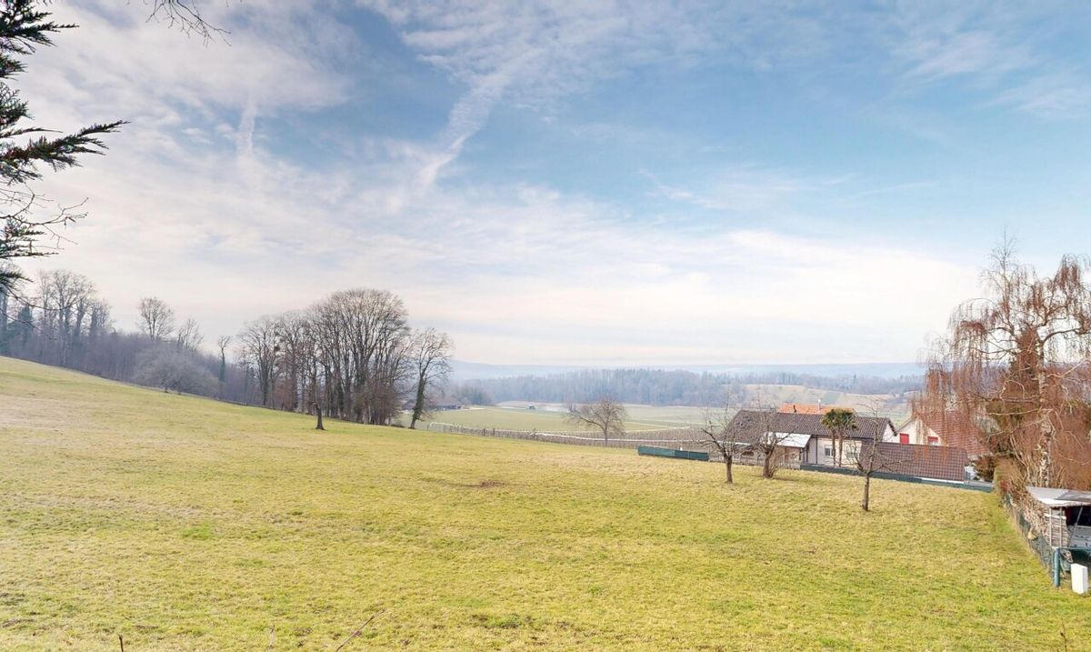 Bauland in Metzerlen - 1