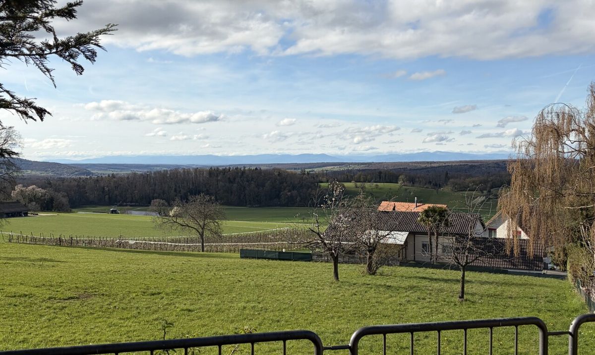 Bauland in Metzerlen - 7