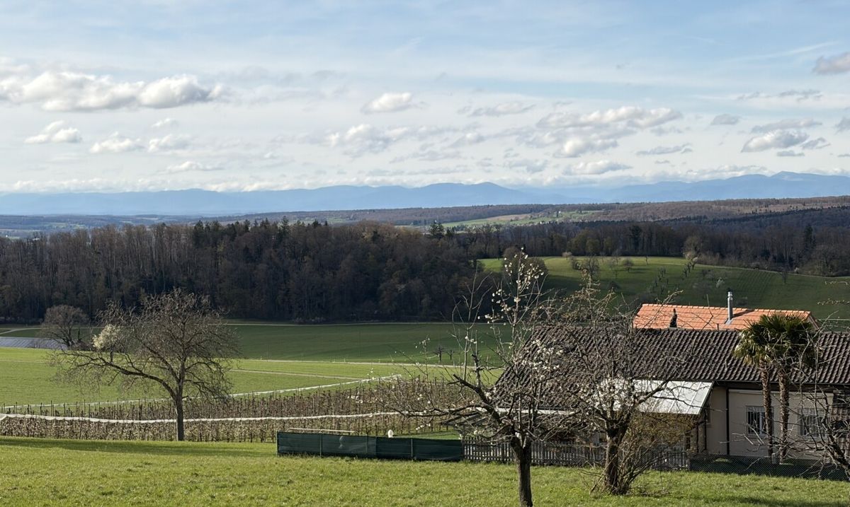 Bauland in Metzerlen - 8