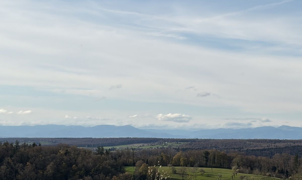 Bauland in Metzerlen - 9