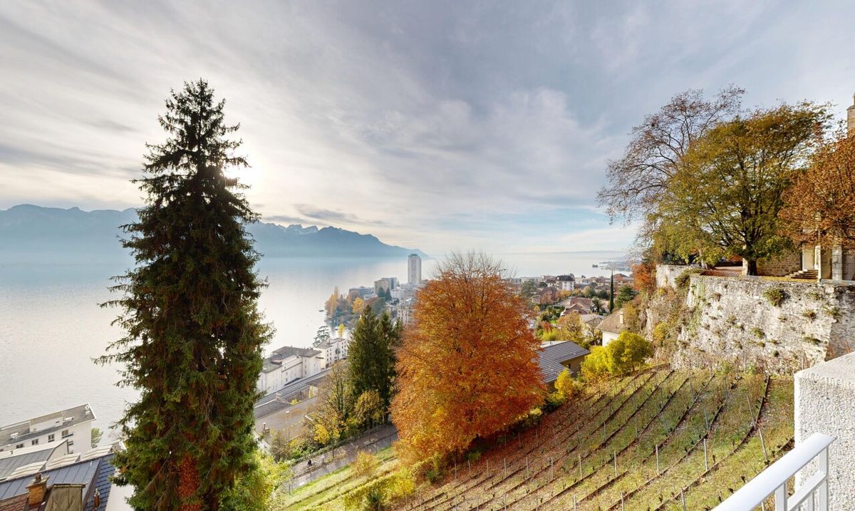 Terrain à bâtir in à Montreux - 8