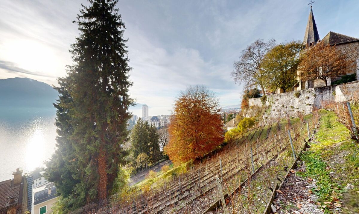 Terrain à bâtir in à Montreux - 9