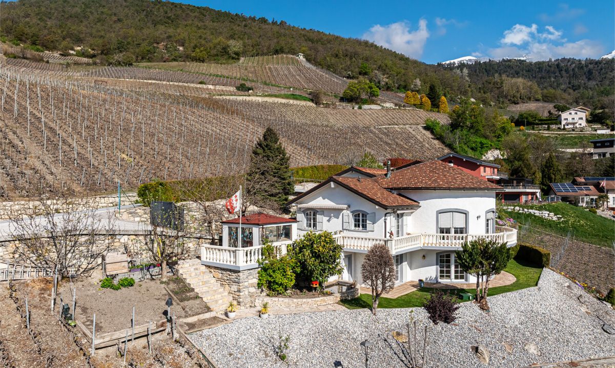 Architect Villa, Panoramic Views, 3 Units, 270m²+ - 1